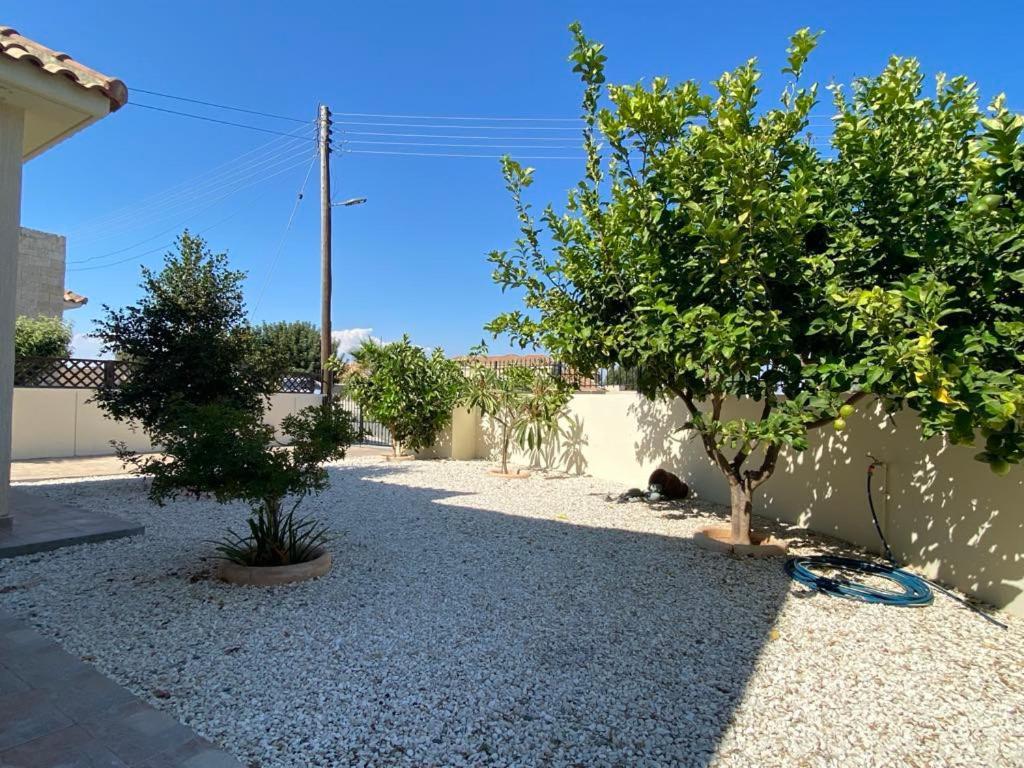 Villa Trachonas Pissouri Bagian luar foto
